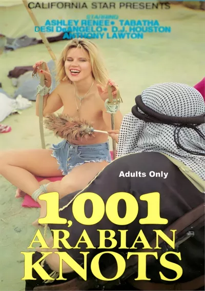 1,001 Arabian Knots