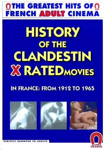 Histoire Du Film X Clandestin - In France From 1912 To 1965 - French Version