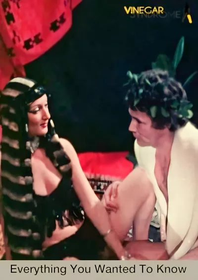 Everything You Wanted To Know