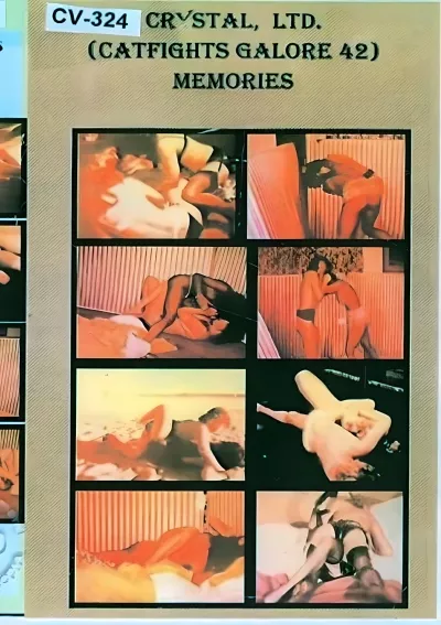 Catfights Galore 42 - Memories