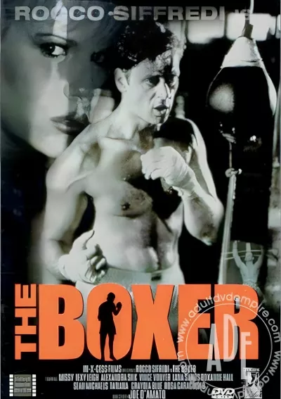 Boxer