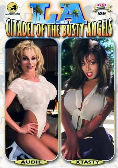 La Citadel of the Busty Angels