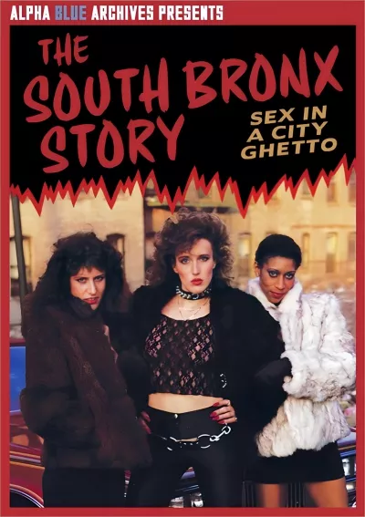 South Bronx Story
