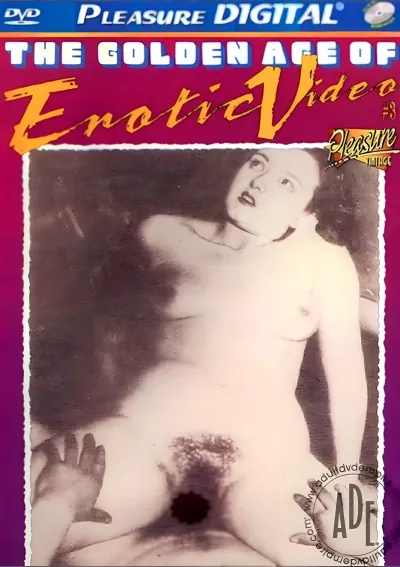 Golden Age of Erotic Video 3, The
