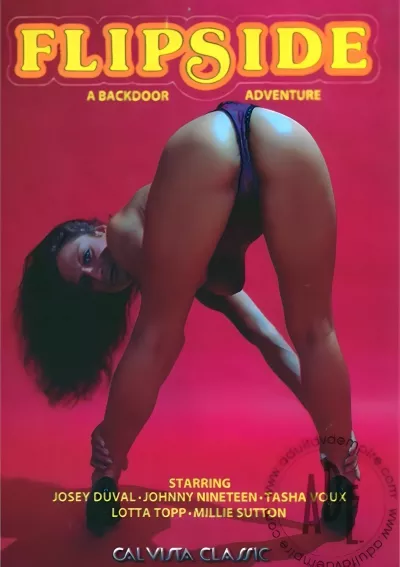 Flipside